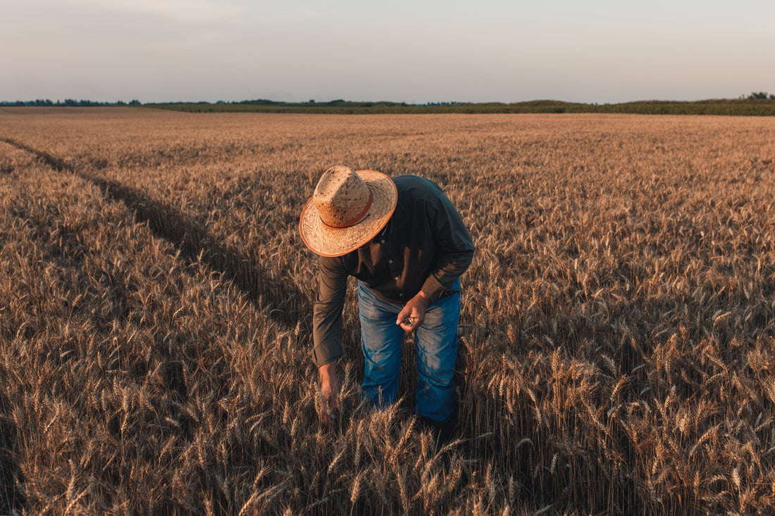 Why Cattle Ranchers, Farmers, and Blue-Collar Workers Wear Their Work With Pride